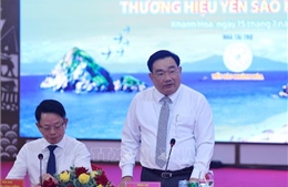 Bảo tồn chim yến, giữ gìn ‘vàng trắng’ của biển Khánh Hòa