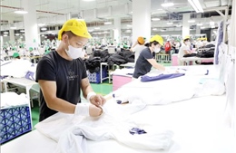 Điểm tin kinh tế Việt Nam nổi bật ngày 17/7/2026