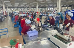 Công nhận kỹ năng: Cơ hội để lao động Việt vươn ra thị trường quốc tế