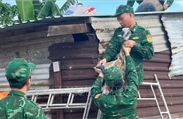 Gia Lai yêu cầu khẩn trương triển khai phương án ứng phó thiên tai năm 2026