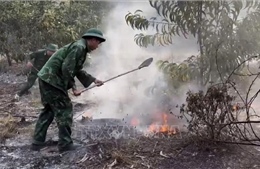Huế kịp thời khống chế vụ cháy rừng trồng keo
