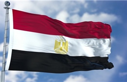 Điện mừng kỷ niệm lần thứ 74 Ngày Quốc khánh Cộng hòa Arab Ai Cập