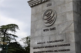 WTO: Cơ hội lớn để tham gia sâu hơn vào chuỗi giá trị toàn cầu