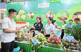 Thái Nguyên: Đẩy mạnh kết nối tiêu thụ na La Hiên và nông sản chủ lực