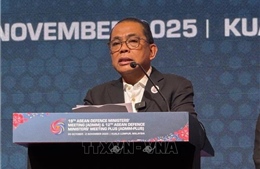 ASEAN là nền tảng cho hợp tác an ninh Ấn Độ Dương - Thái Bình Dương