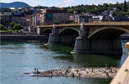 Mực nước sông Danube thấp kỷ lục, loạt xác tàu chiến Đức lộ diện