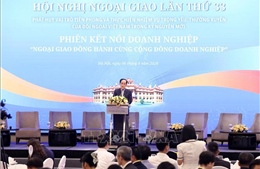 Ngoại giao đồng hành cùng doanh nghiệp, mở rộng không gian phát triển cho Việt Nam