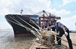 Trung Quốc nâng mức ứng phó khẩn cấp với bão Dolphin