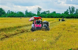 Nghị quyết 57-NQ/TW: Ứng dụng công nghệ nâng cao chuỗi giá trị hợp tác xã