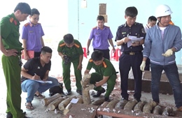 Phát hiện hơn 1,1 tấn ngà voi cất giấu tinh vi trong 3 container gỗ