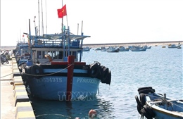 Khắc phục 'thẻ vàng' IUU: Thiết lập 2 điểm lên cá tạm tại Phú Quý