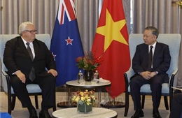 Tổng Bí thư, Chủ tịch nước Tô Lâm hội kiến Chủ tịch Quốc hội New Zealand