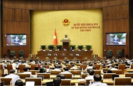 Thể chế hóa kịp thời, tạo bước chuyển thực chất