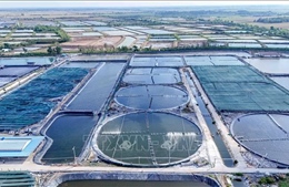 Nghị quyết 68-NQ/TW: Năm giải pháp để kinh tế tư nhân bứt phá