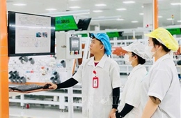Tây Ninh: Không để điểm nghẽn cản trở mục tiêu tăng trưởng