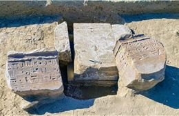 Ai Cập phát hiện dấu tích đền thờ thần Horus và hiện vật thời vua Ramesses II