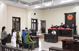 Lập 20 gian hàng để tạo đơn ‘ảo’ bán thực phẩm giả, 3 bị cáo lĩnh 46 năm tù