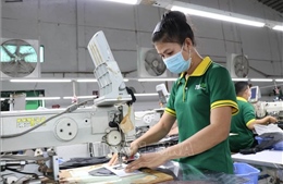 Giảm thuế thu nhập doanh nghiệp: Trợ lực tài chính gắn với yêu cầu hoàn thiện thể chế 