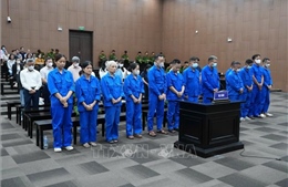 Vụ cựu Thứ trưởng Nguyễn Bá Hoan: Chiều 24/8, Hội đồng xét xử sẽ tuyên án