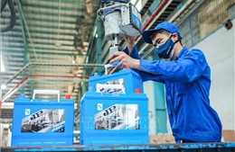 Thực hành kinh doanh có trách nhiệm nâng cao khả năng tham gia chuỗi giá trị toàn cầu