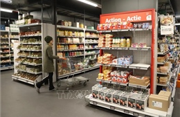 Hoạt động sản xuất, kinh doanh tại Eurozone tăng tháng thứ hai liên tiếp