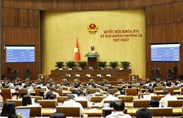 Quốc hội thông qua hai luật và bốn nghị quyết quan trọng