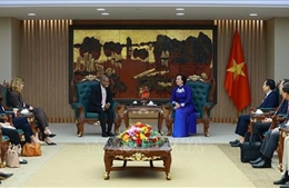Việt Nam cam kết là thành viên tích cực trong các hoạt động toàn cầu về trẻ em