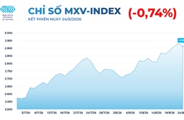 Diễn biến giằng co trên thị trường hàng hóa, MXV-Index quay đầu giảm nhẹ