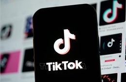 Brazil phạt TikTok gần 30 triệu USD vì vi phạm bảo vệ dữ liệu trẻ em