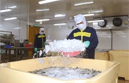 Doanh nghiệp nhỏ và vừa phải nâng chất để hội nhập sâu