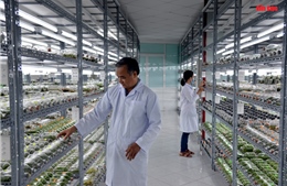 Chuyển đổi kép tạo động lực tăng năng suất và năng lực cạnh tranh