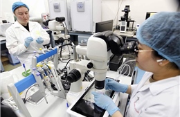 Xây dựng cơ chế chấp nhận rủi ro trong nghiên cứu khoa học và đổi mới sáng tạo