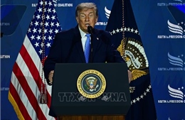Mỹ: Tổng thống D. Trump lên kế hoạch vận động cho 35 cuộc đua giữa nhiệm kỳ