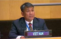 Tiếp tục đưa quan hệ Việt Nam với Hàn Quốc, Mông Cổ phát triển ngày càng thực chất, hiệu quả