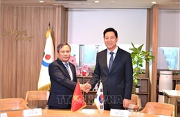 Tăng cường hợp tác song phương chiến lược giữa các thành phố Việt Nam - Hàn Quốc