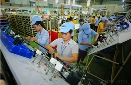 Điểm sáng trong bức tranh thương mại Việt Nam - Ấn Độ
