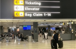 Mỹ: TSA cho phép tiễn hành khách tại cổng lên máy bay ở một số sân bay