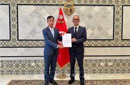 Việt Nam, Tunisia thúc đẩy hợp tác thương mại, đầu tư