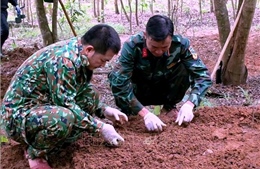 Mở rộng khu vực tìm kiếm, quy tập thêm nhiều hài cốt liệt sĩ tại Quảng Trị