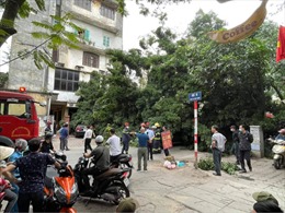 Cây xanh bật gốc, đè trúng ô tô trên phố Lê Quý Đôn (Hà Nội)