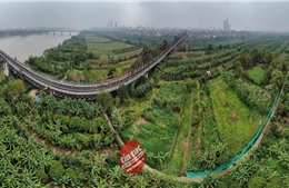 Hà Nội: Phê duyệt Quy hoạch phân khu đô thị sông Hồng đi qua 13 quận, huyện