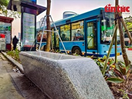 Hàng loạt ghế đá &#39;mini&#39; được lắp đặt dưới hàng hoa sữa cổ thụ ở Hà Nội
