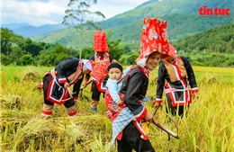 Khai thác giá trị văn hóa dân tộc để xây dựng thương hiệu du lịch cộng đồng Bình Liêu