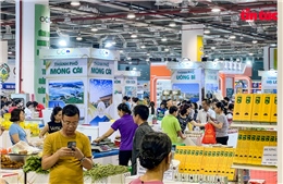 Lực đẩy liên kết vùng giúp nâng tầm nông sản Việt