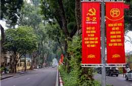 Hà Nội rợp màu cờ hoa mừng Đảng mừng Xuân, đón Tết Nguyên đán 2024