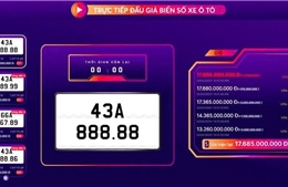 Lần đầu tiên đấu giá biển số xe ô tô với mức khởi điểm &#39;khủng&#39; 500 triệu đồng