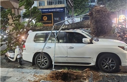 Hà Nội chỉ đạo toàn diện ứng phó bão số 3 WIPHA