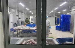 Bóc trần hàng loạt đường dây sản xuất, buôn bán hàng giả quy mô nghìn tỷ