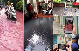 Chủ tịch Hà Nội yêu cầu kiểm tra Cụm công nghiệp Phú Minh gây ô nhiễm môi trường