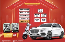 Lần đầu tiên đấu giá biển số xe được &#39;livestream&#39; trực tiếp trên nền tảng truyền hình đa thiết bị